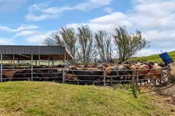 282B Callaghan Road, Maromaku