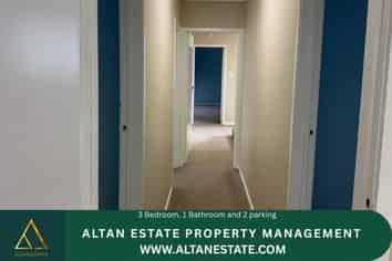 11 Farnol Street, Hillsborough