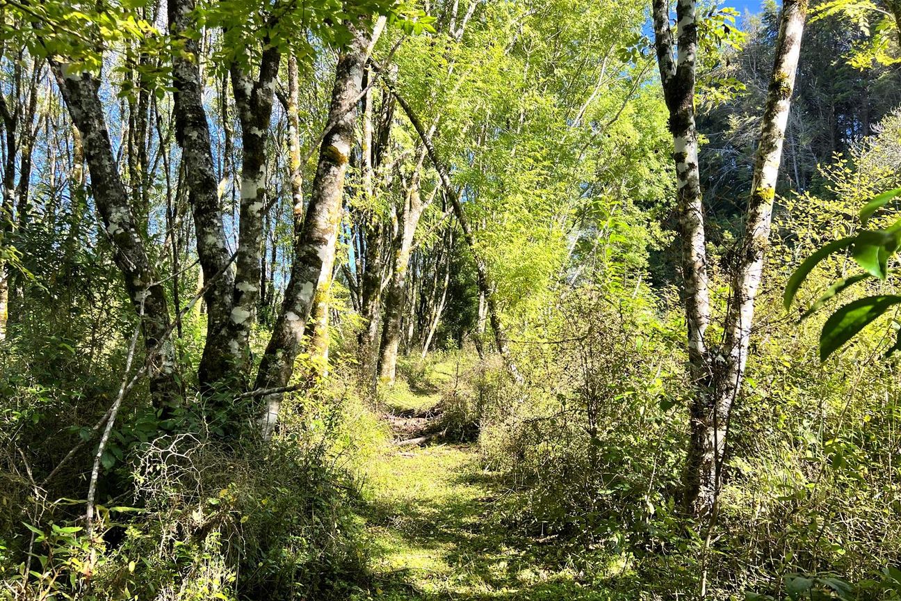 NATURES OWN LIFESTYLE BLOCK - Ansicht 5
