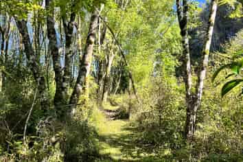  754 Rutherglen Road, Rutherglen