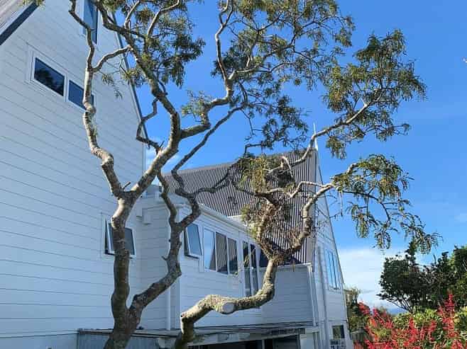 3 Nagpur Terrace, Broadmeadows