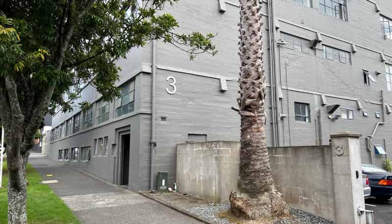 7/ Akiraho Street, Mount Eden