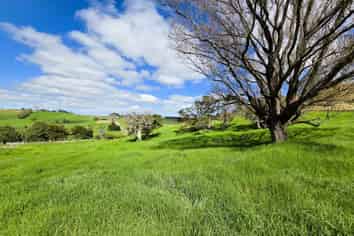  Morrison Road, Dargaville