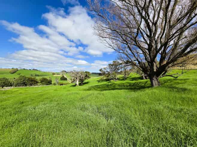  Morrison Road, Dargaville