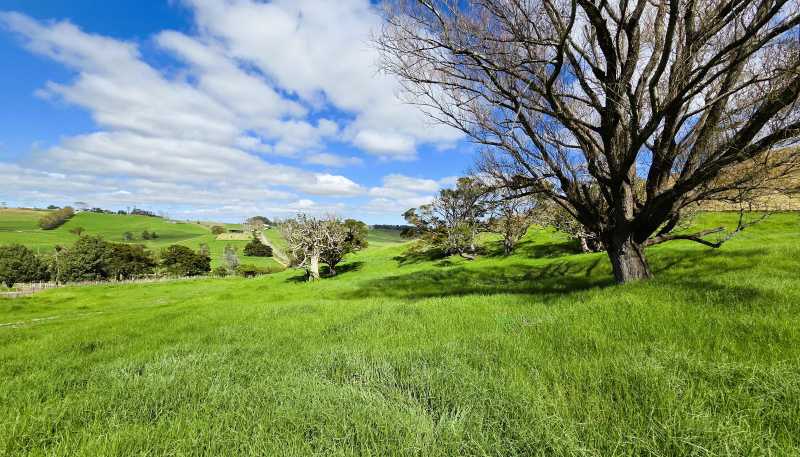  Morrison Road, Dargaville