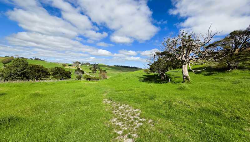  Morrison Road, Dargaville