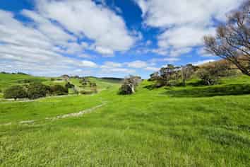  Morrison Road, Dargaville