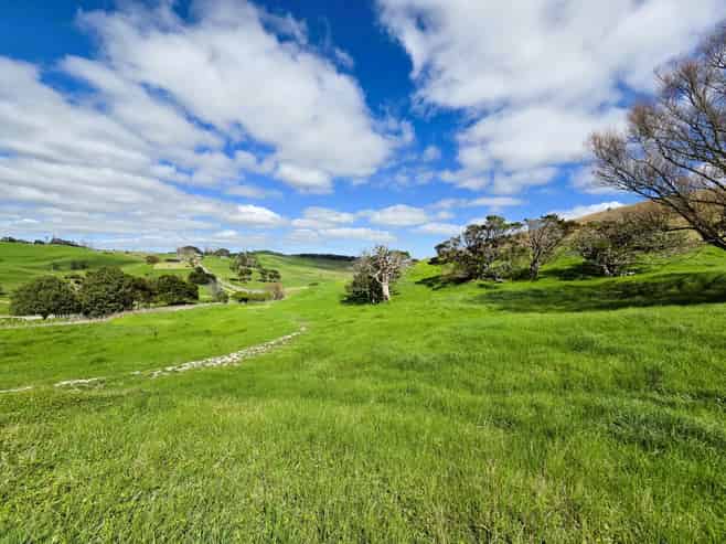  Morrison Road, Dargaville