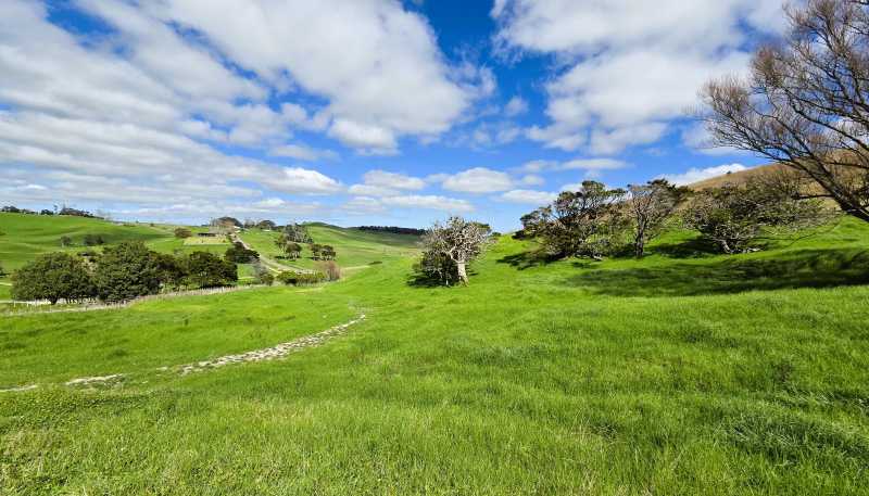  Morrison Road, Dargaville