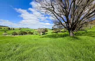  Morrison Road, Dargaville