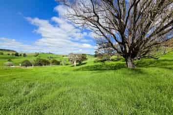  Morrison Road, Dargaville