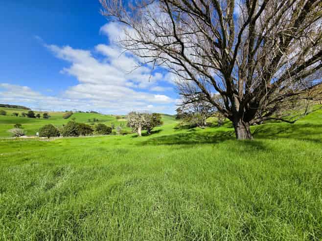  Morrison Road, Dargaville