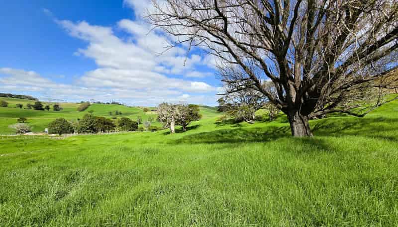  Morrison Road, Dargaville