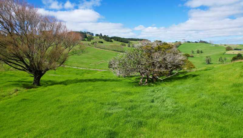  Morrison Road, Dargaville