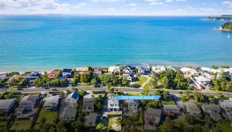 239 Vipond Road, Stanmore Bay