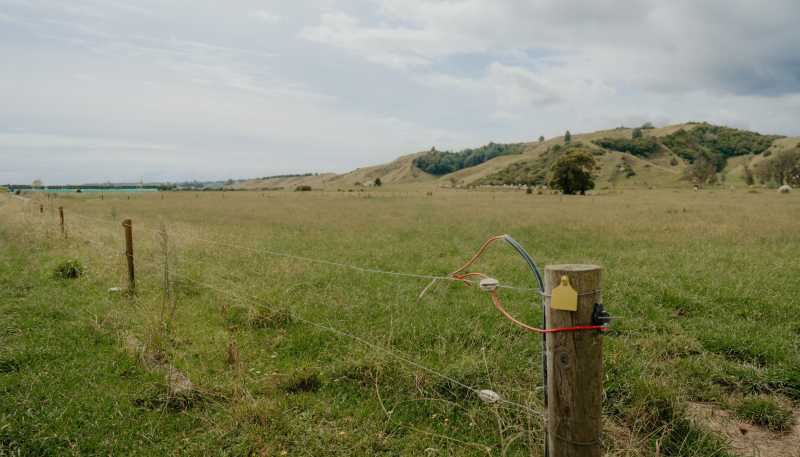 137 Matchitt Road, Opotiki