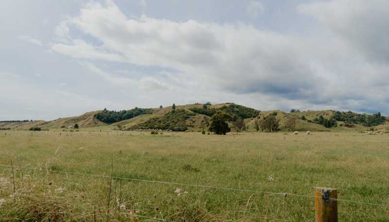 137 Matchitt Road, Opotiki