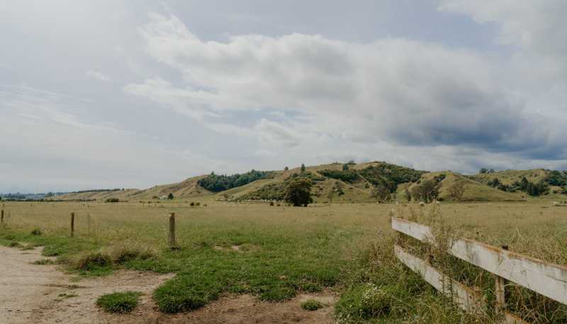 137 Matchitt Road, Opotiki