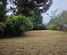 127 Elizabeth Drive, Tokoroa, South Waikato, Waikato