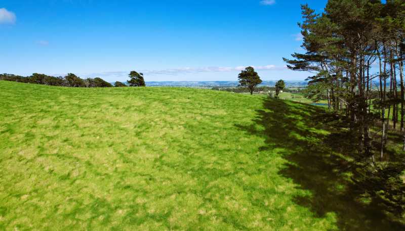  Rehia Road, Ruawai