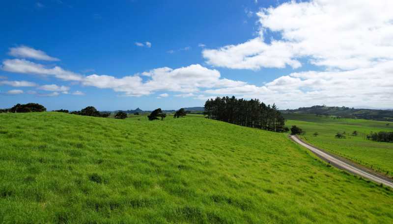  Rehia Road, Ruawai