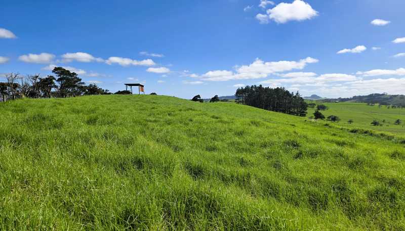  Rehia Road, Ruawai