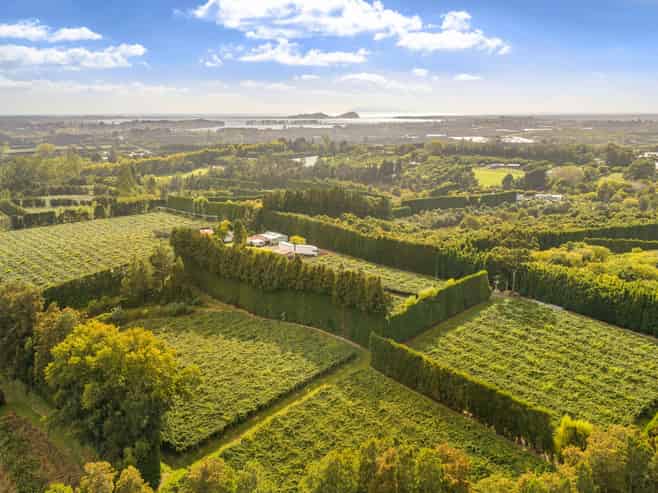 40 Woodland Road, Tahawai