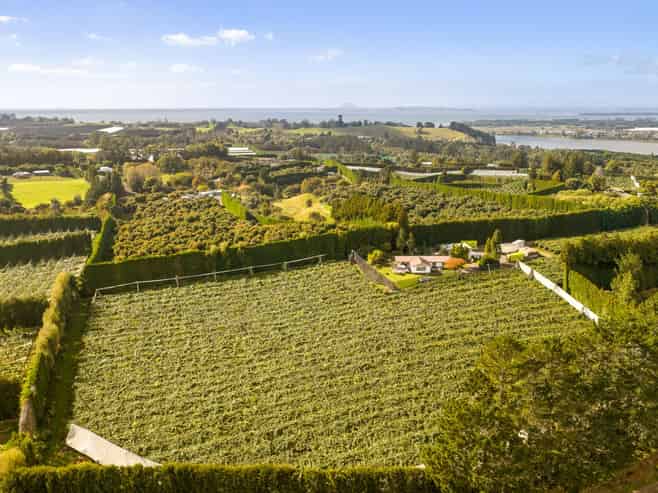 40 Woodland Road, Tahawai