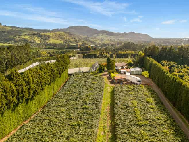 40 Woodland Road, Tahawai