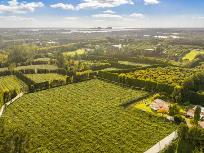 40 Woodland Road, Tahawai