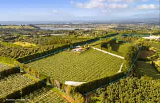 40 Woodland Road, Tahawai