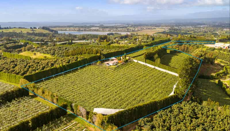 40 Woodland Road, Tahawai