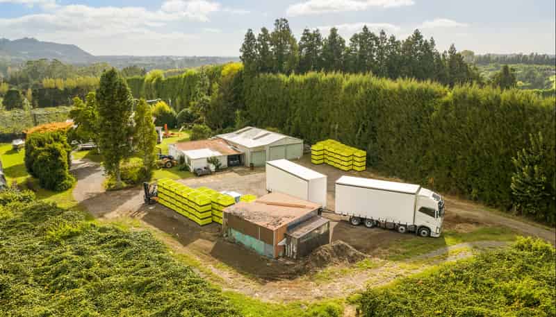 40 Woodland Road, Tahawai