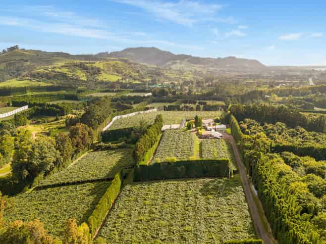 40 Woodland Road, Tahawai