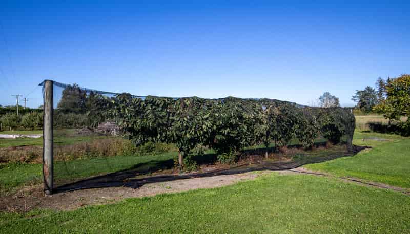 402 Dixons Road, Loburn