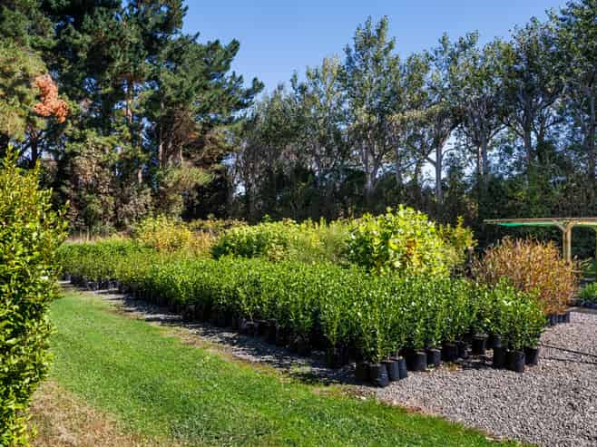 774 Taonui Road, Colyton