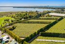 249 Walker Road East, Aongatete, Western Bay Of Plenty, Bay of Plenty