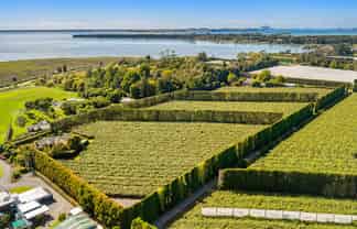 249 Walker Road East, Aongatete