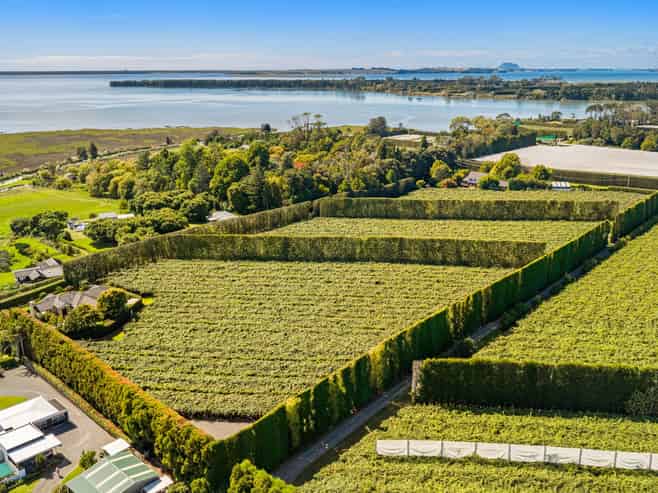 249 Walker Road East, Aongatete