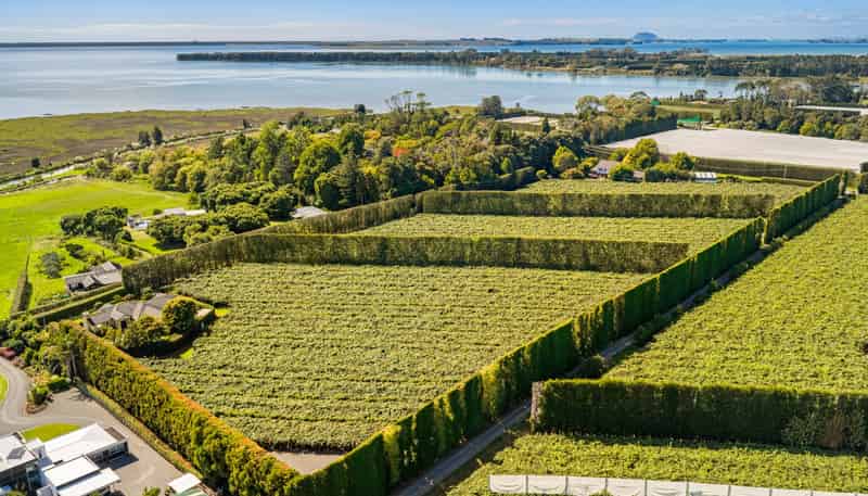 249 Walker Road East, Aongatete