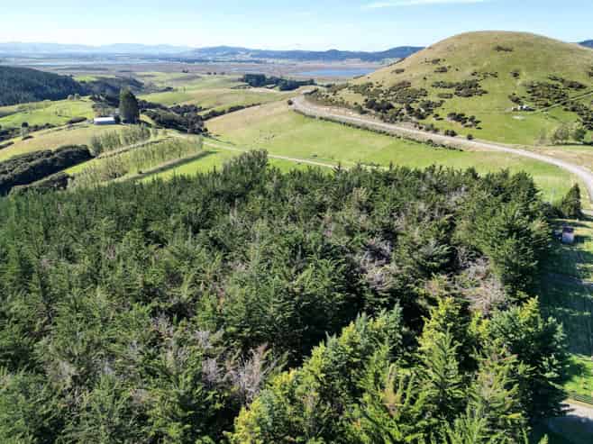  Waihola Hill Road, Clarendon