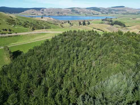  Waihola Hill Road, Clarendon