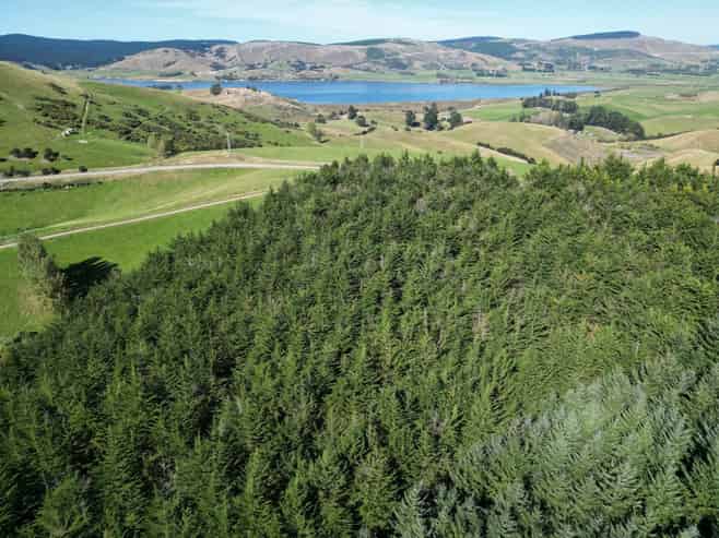  Waihola Hill Road, Clarendon