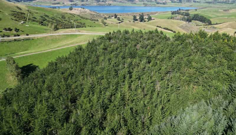  Waihola Hill Road, Clarendon