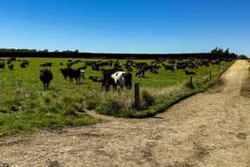 486 Irving Road and 150 Angle Road, Woodlands
