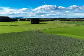 525 Woodlands-Morton Mains Road, Morton Mains