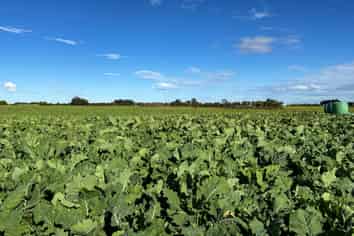 525 Woodlands-Morton Mains Road, Morton Mains