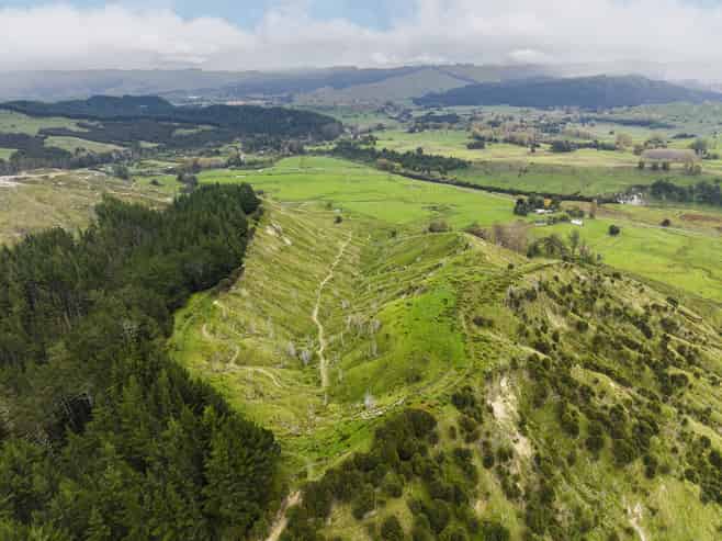 232 Kotare Road, Ruakituri