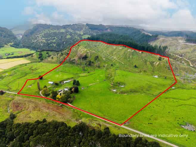 232 Kotare Road, Ruakituri