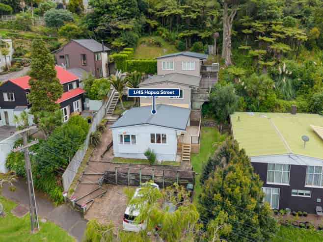 1/45 Hapua Street, Remuera